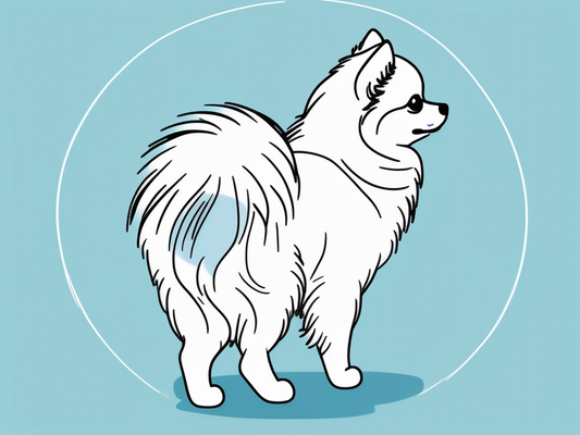 The Adorable Pomeranian Dog Butt: A Complete Guide