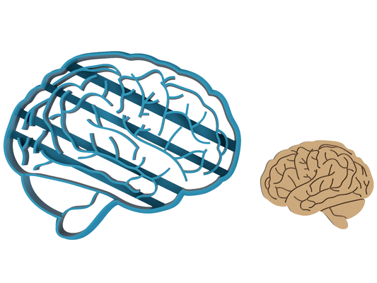 Brain Anatomy - Cookie Cutter / Sugar Cookie / Fondant / Clay (1349)