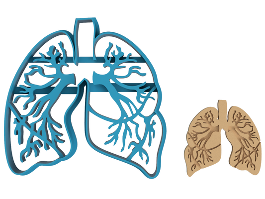 Lung Anatomy - Cookie Cutter / Sugar Cookie / Fondant / Clay (1215)