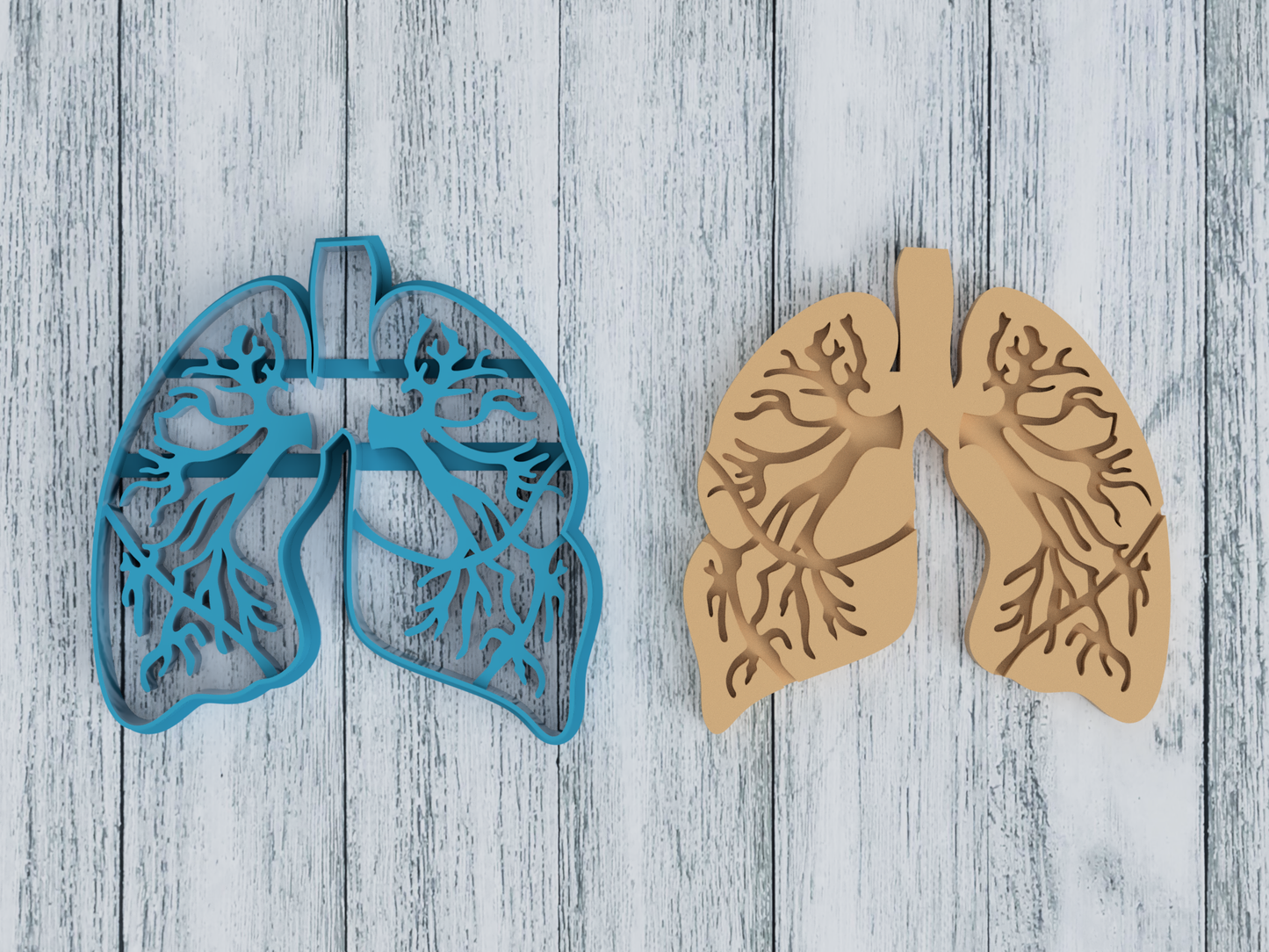 Lung Anatomy - Cookie Cutter / Sugar Cookie / Fondant / Clay (1215)